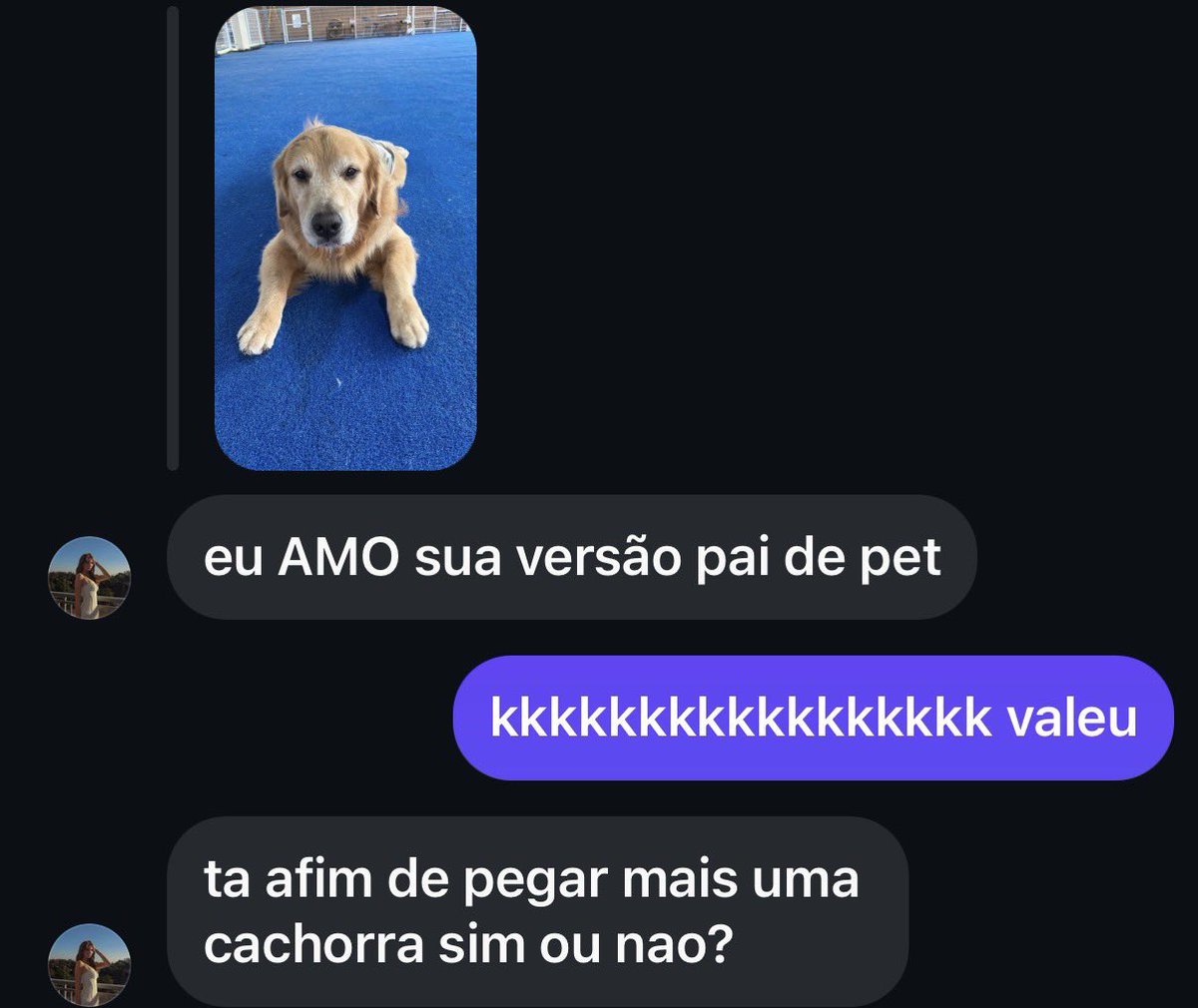 dissecantadasz's tweet image. 