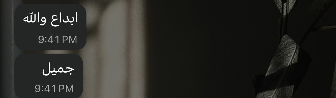 A H A D A L M U T I R I tweet media