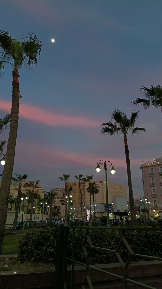 a_qsem's tweet image. أخيرا إنه الخميس لا أعرف كيف صمدت أسبوعا أخر في هذا العالم