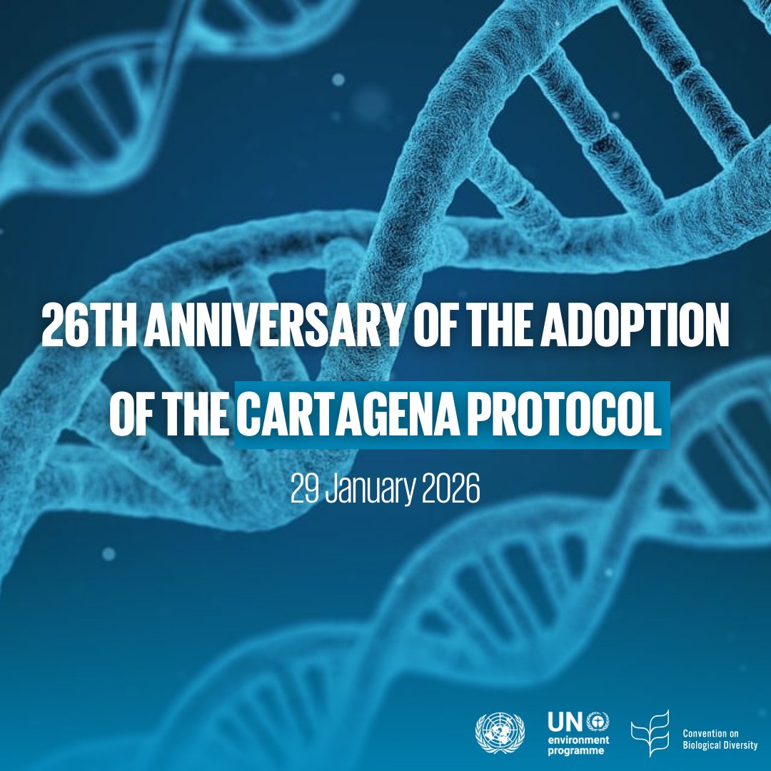 UN Biodiversity tweet media