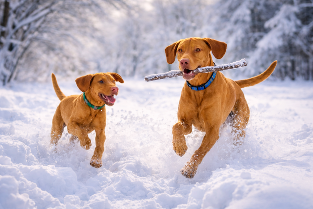 Updating VCF Operations and Operations for Logs to 9.0.2 | VCF 9.0.2 recently dropped, we already upgraded VCF Operations Fleet Manager, let's upgrade Operations and Operations for Logs next! – #vExpert Brock Peterson dy.si/wQc7d