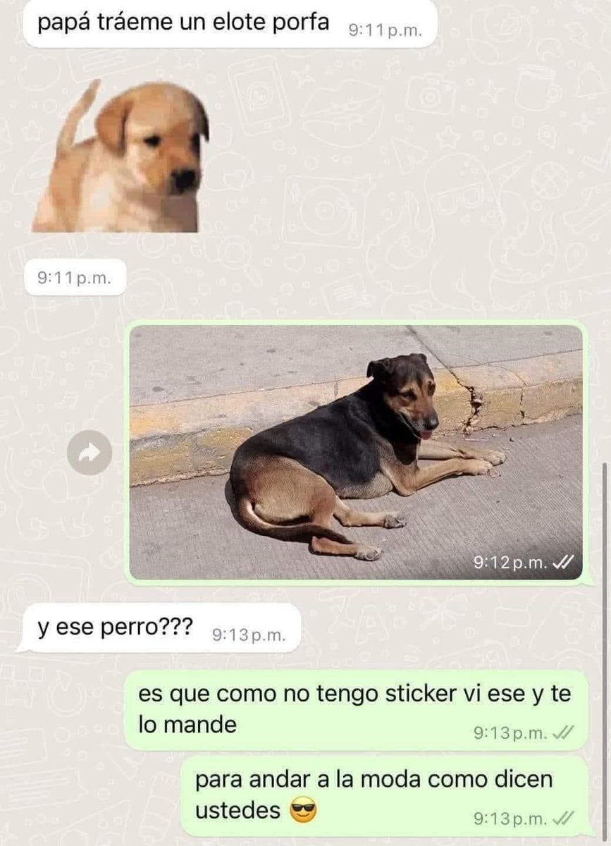 Perritos que curan tu depresión 🐶 (@perritos_qctd) on Twitter photo 