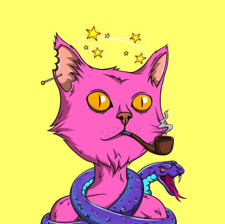 The Elite Cats tweet media