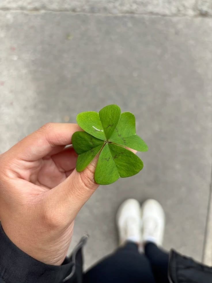 tarotdori's tweet photo. Bunu retweetlersen, 7 gün içinde kesinlikle güzel bir şey olacak 🍀 https://t.co/2jUt0UPmpg