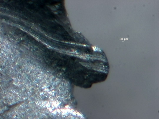 Joel @ Future Folklore ( 🛸🏴‍☠️ ) tweet media