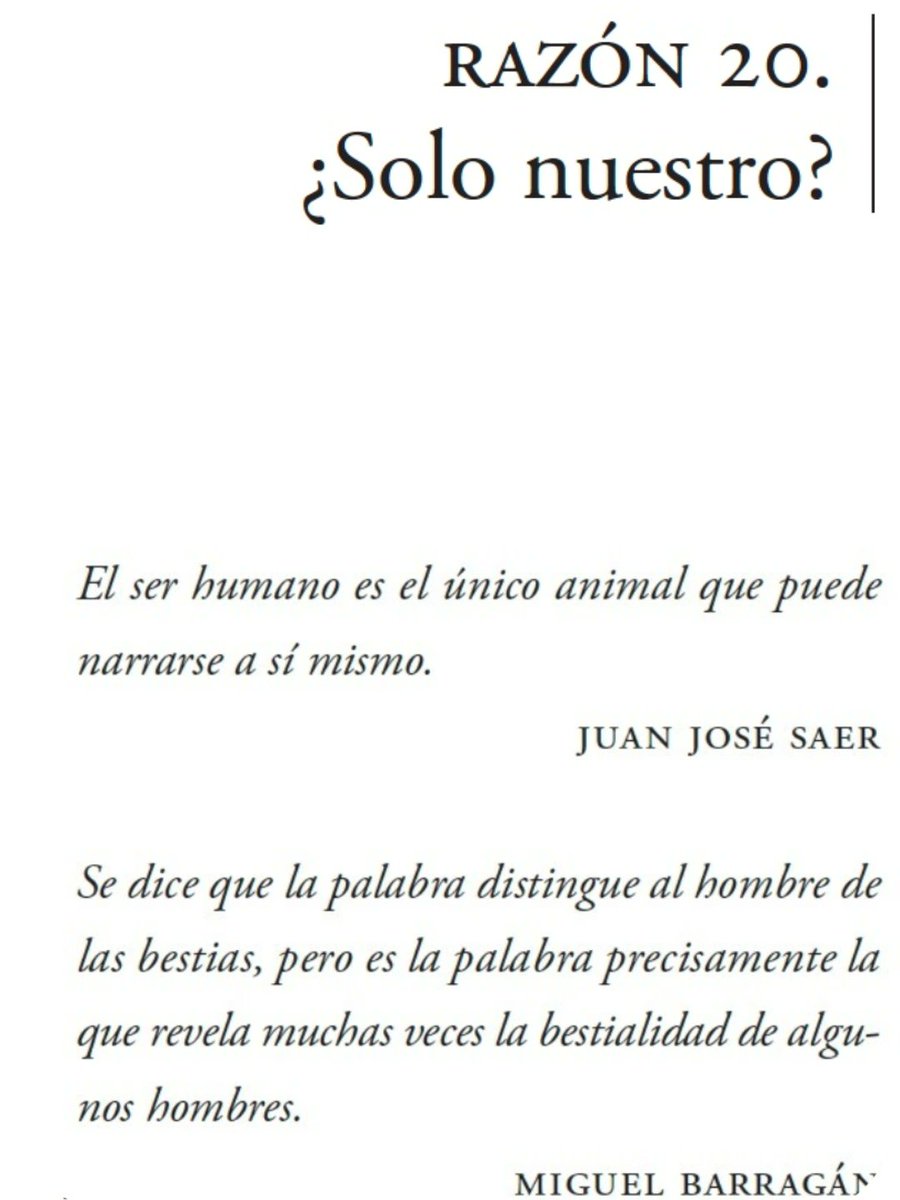 Lorena Pérez Hernández tweet media