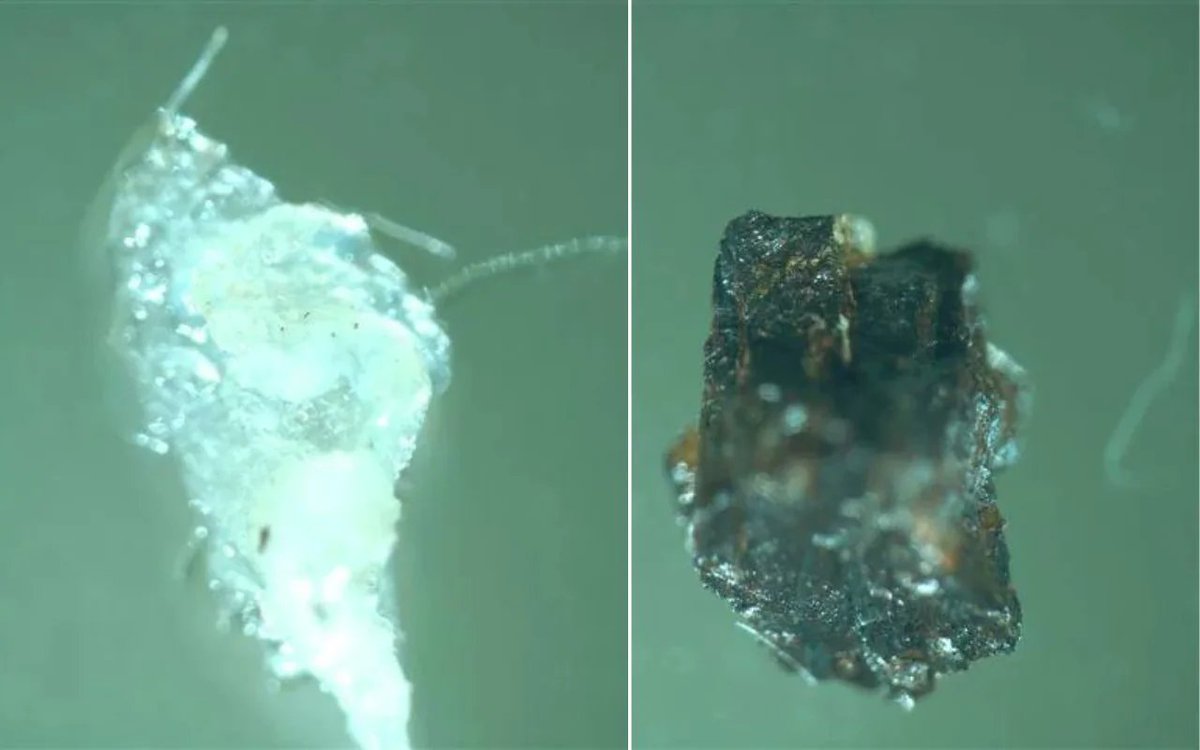 Joel @ Future Folklore ( 🛸🏴‍☠️ ) tweet media