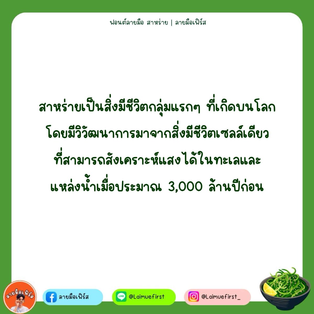 ฟอนต์.คอม tweet media