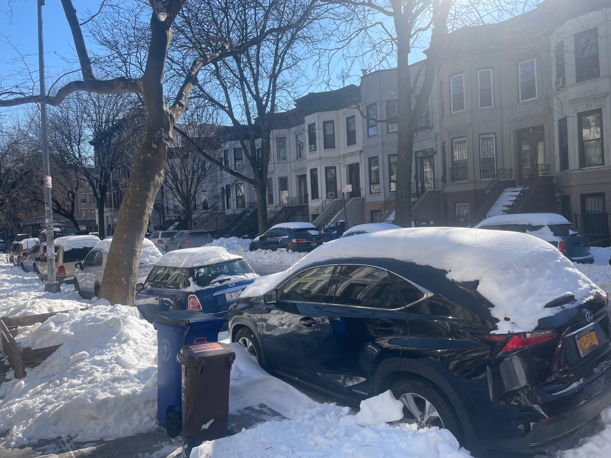 Alex Morano tweet media