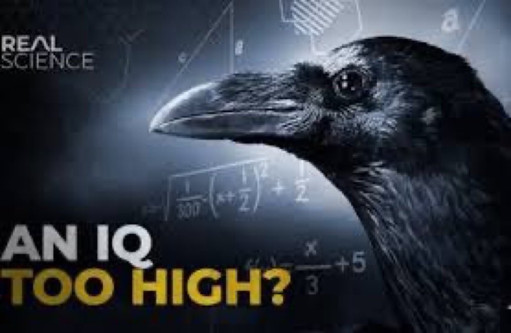 TheGoldNPlushSonic tweet media