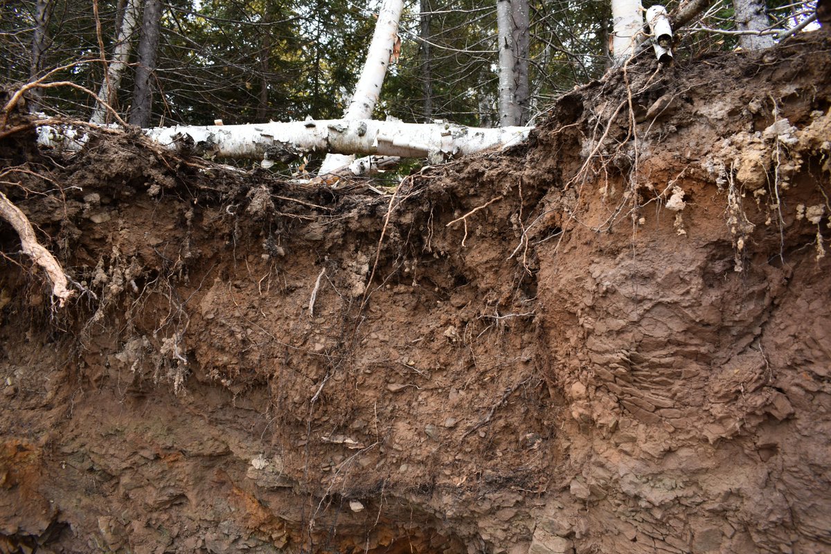 Le ministère du Tourisme, du Patrimoine et de la Culture annonce que le thème de la Semaine du patrimoine 2026 est « La vie sous la terre ». L’événement aura lieu du 9 au 16 février. Pour en savoir plus, visitez notre site Web.
gnb.ca/fr/campagne/se…