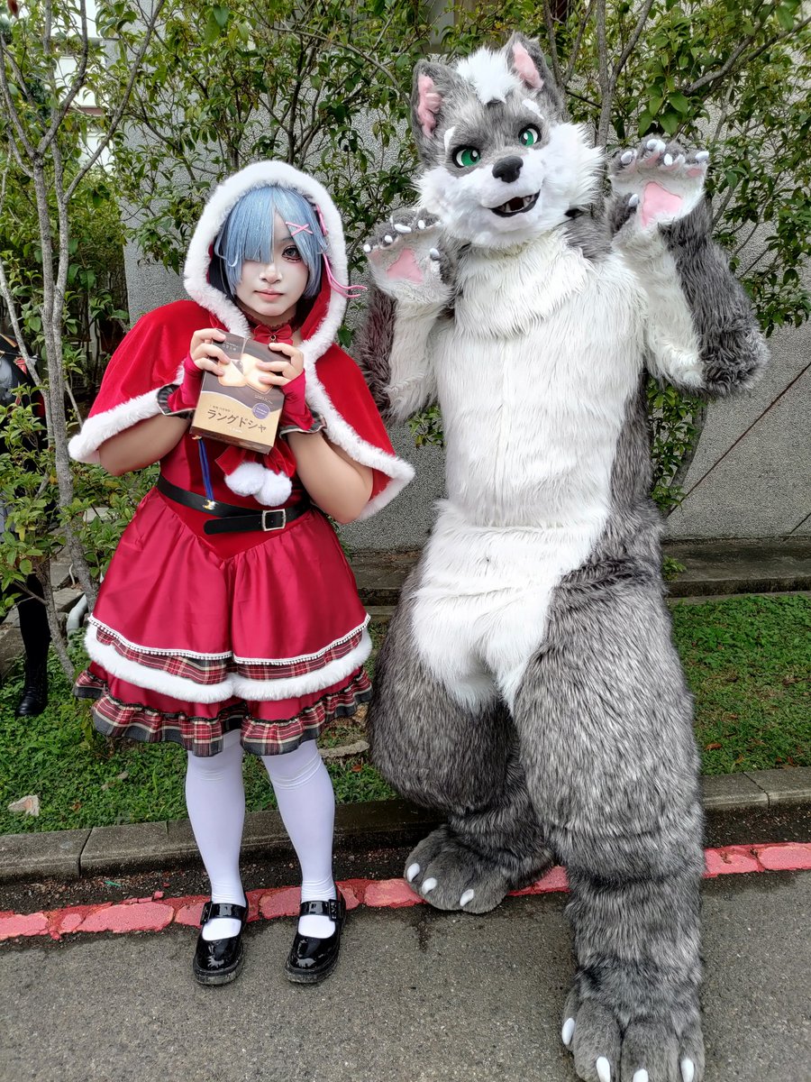 Wolfy (幼狼) tweet media