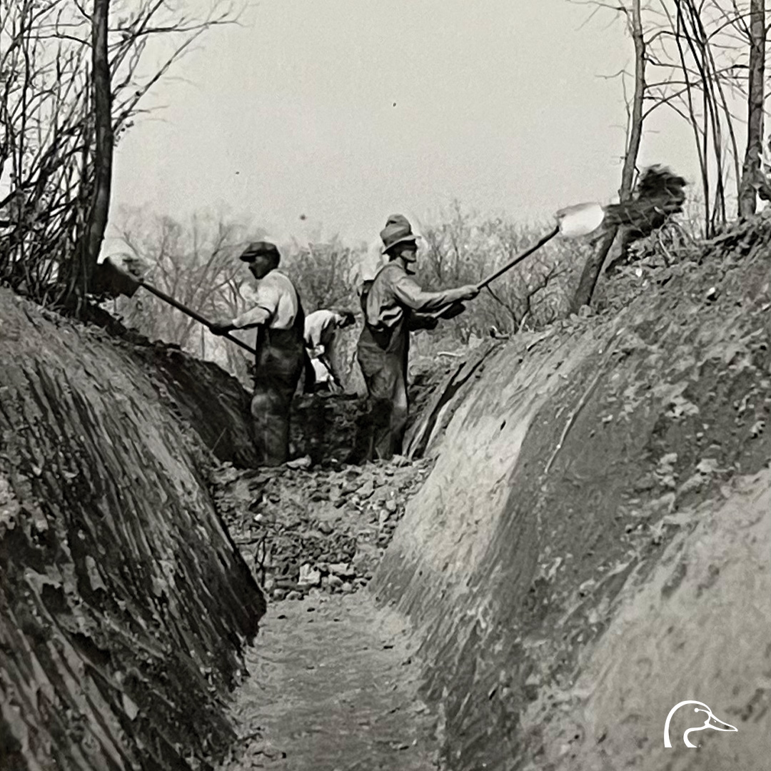 DucksUnlimited's tweet photo. 89 Years of Conservation: Eighty-nine years ago today, conservation was transformed by the founding of Ducks Unlimited.

In 1937, a small group of waterfowlers, visionaries, and community leaders set out to save North America's waterfowl populations while celebrating the continent's solid waterfowling heritage. Stressing the critical role wetlands play across North America, DU committed to this mission at the height of the Great Depression and one of the worst droughts in history.

Never underestimate what a group of passionate people can accomplish together for the special places left on earth. We're making a continental impact, just as our founders envisioned nearly 90 years ago. Through your support and the tireless efforts of our other members, volunteers, and partners, DU has protected or restored more than 19 million acres . . . and counting.

On behalf of Team DU, we say—Happy Anniversary, Ducks Unlimited!

Learn more: https://t.co/FKKiuj7rok

#DucksUnlimited #89YearsOfConservation
Photos: Ducks Unlimited