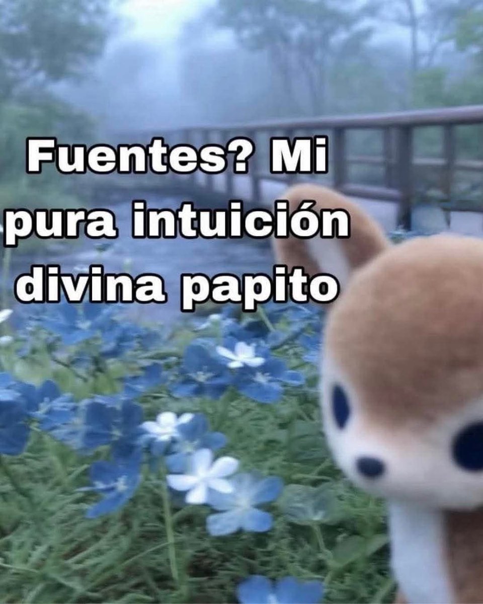 Ojos color sol (@ojoscol0rsol) on Twitter photo 