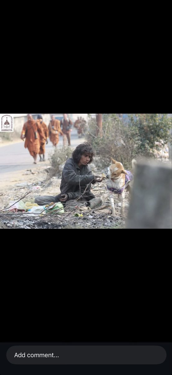 Guess who is the dog in the picture? It’s our very own indie peace dog #Aloka.

This picture is from Akola’s journey in #India with his venerable #monks a couple of years ago.  

You can see a homeless person #feeding  #Aloka with so much love. In India, we come across millions