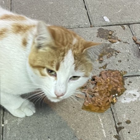 elfimsibiseler's tweet image. Tüm bu surat mama yerken sevdik diye