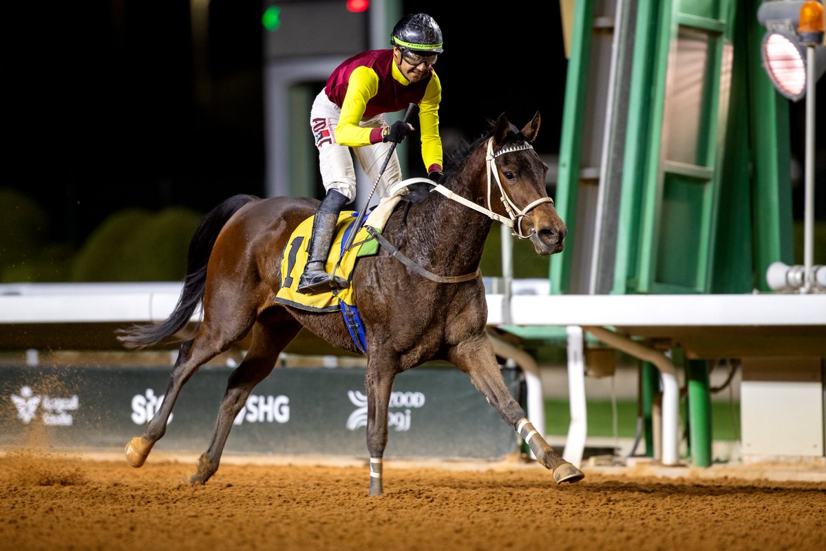 Jockey Club of Saudi Arabia tweet media