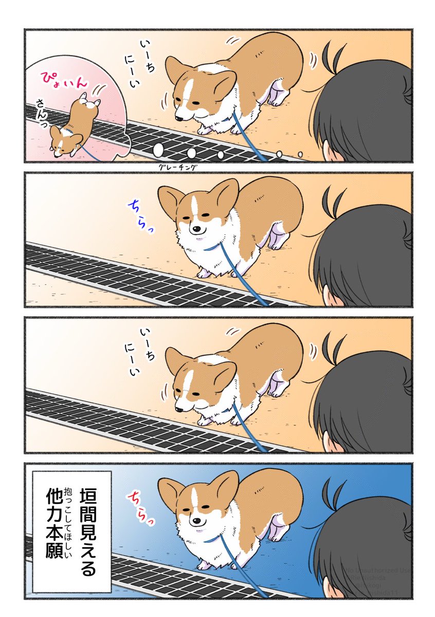 はっしー (@504mk81) / Posts / X