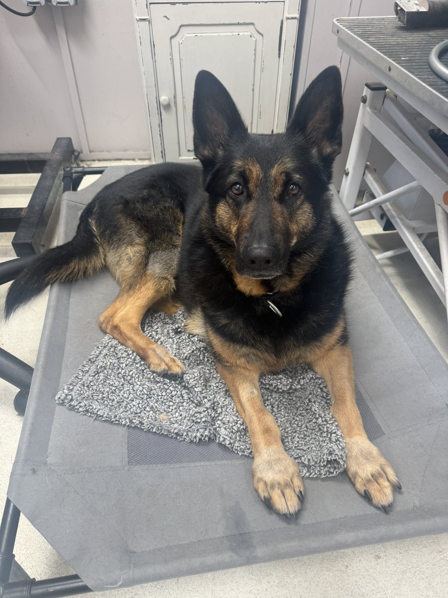 RPD Dixie tweet media