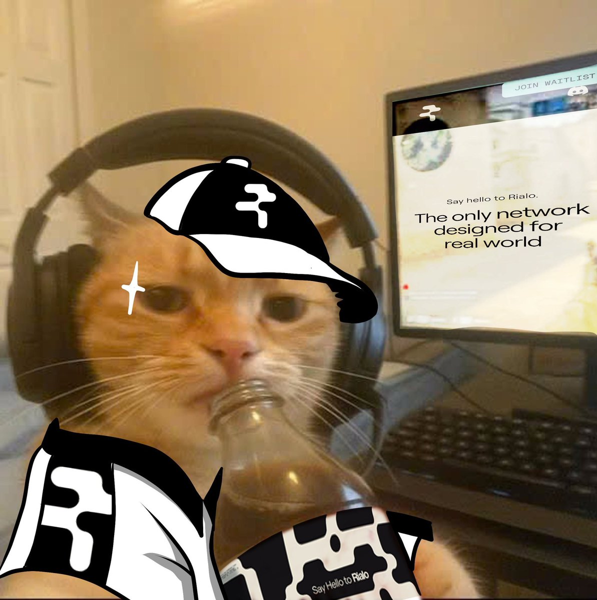 Tien (🧙‍♂️,🧙‍♂️) tweet media