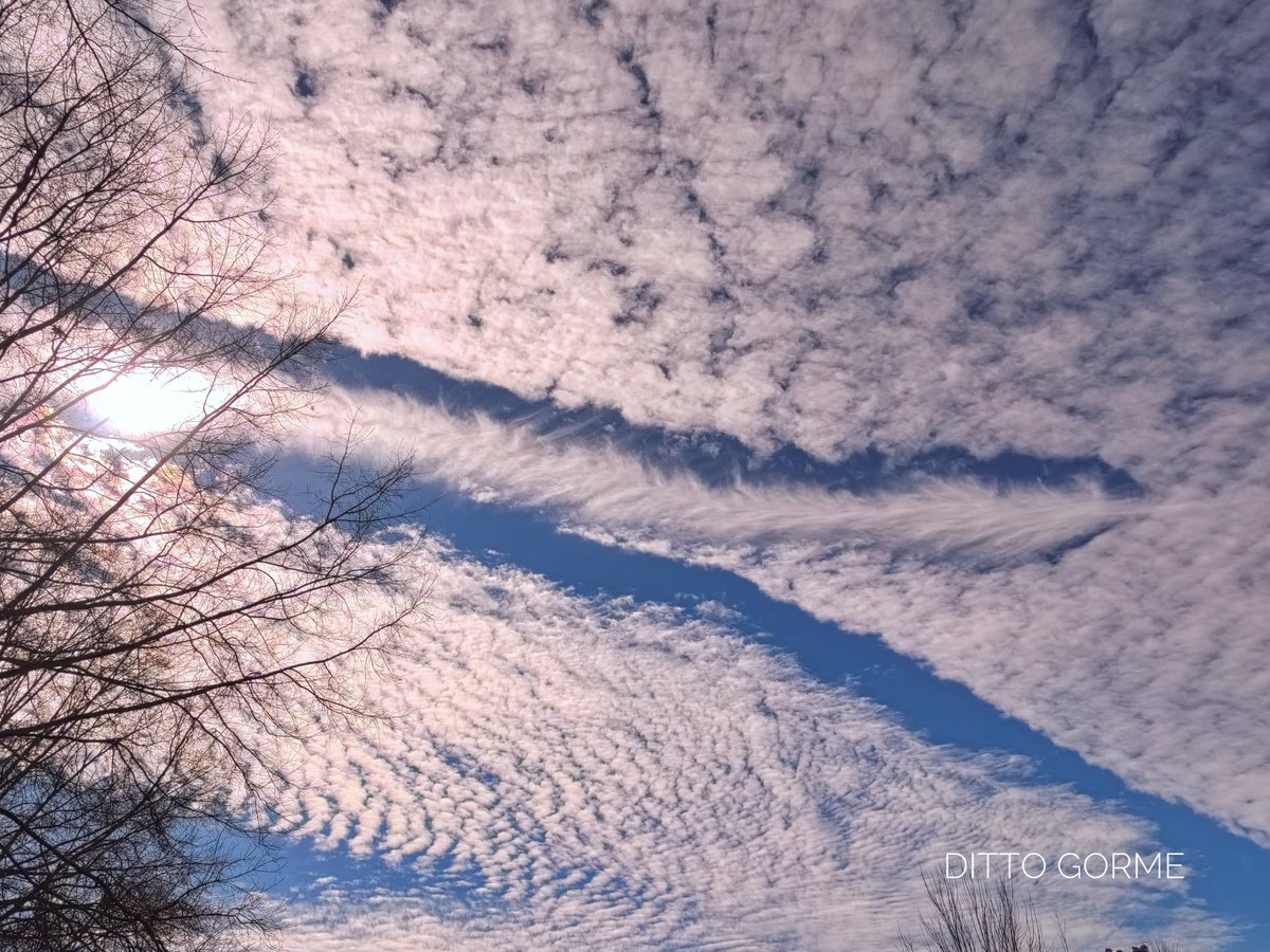 Ditto Gorme tweet media