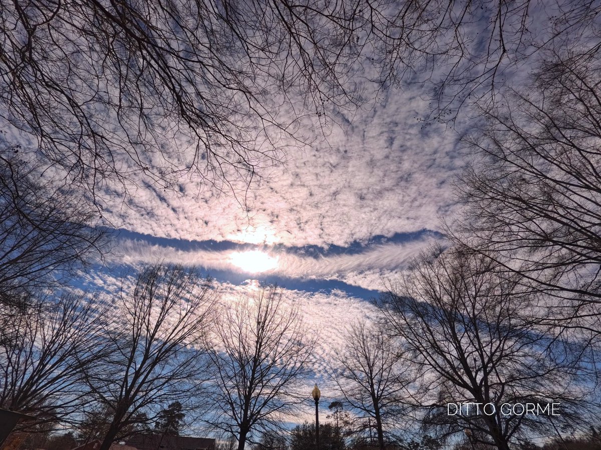 Ditto Gorme tweet media