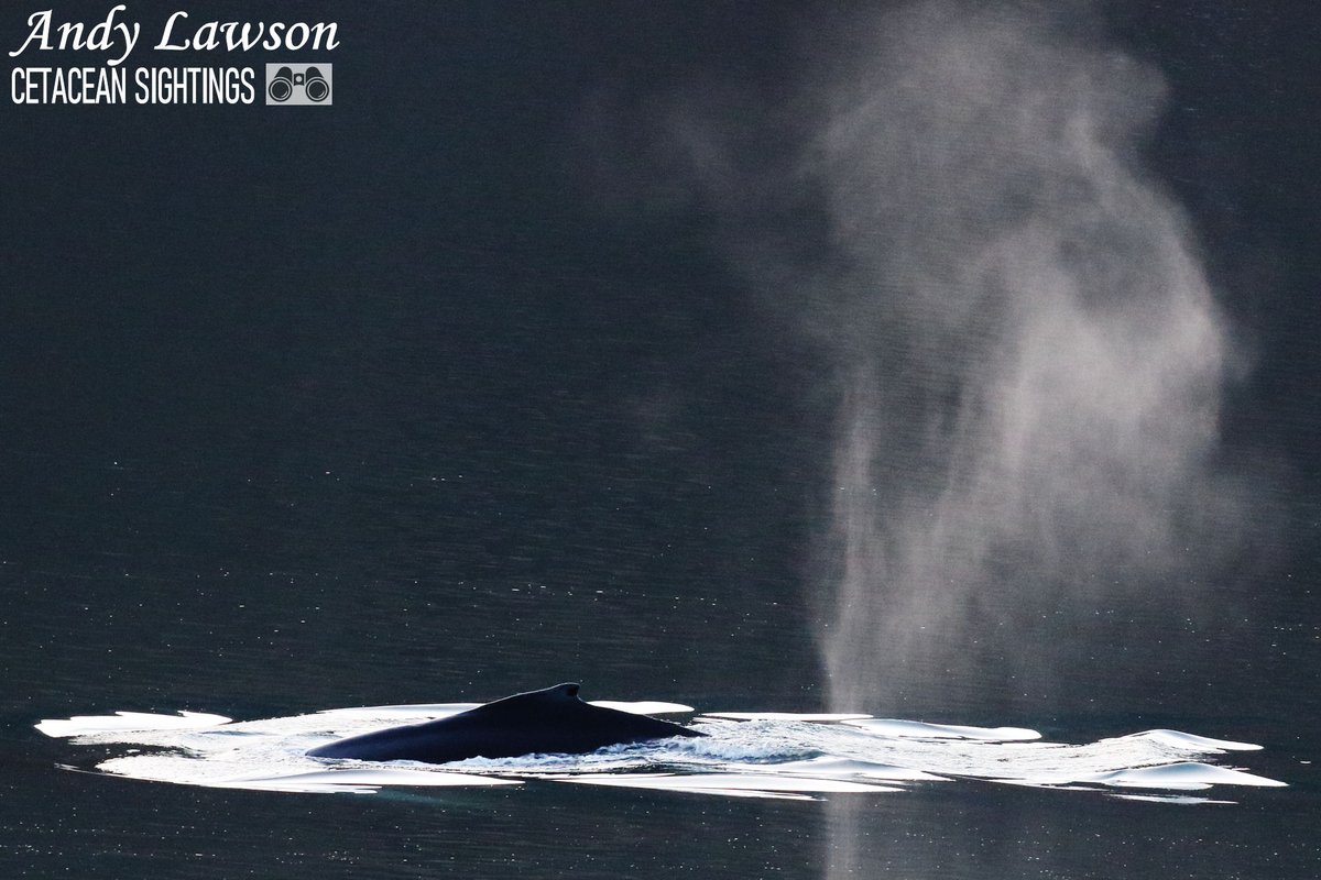 Andy Lawson tweet media