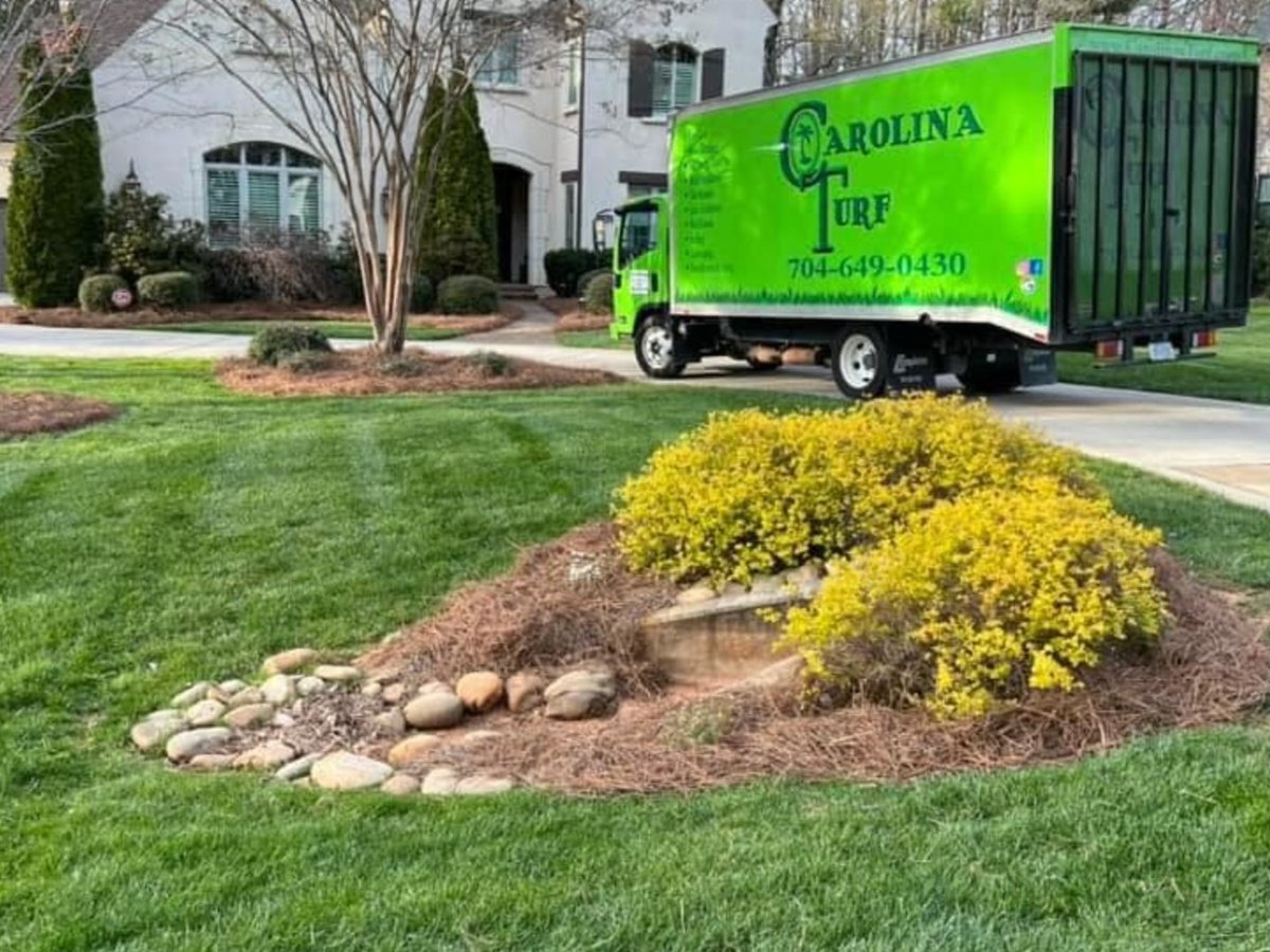 Carolina Turf Lawn and Landscape tweet media