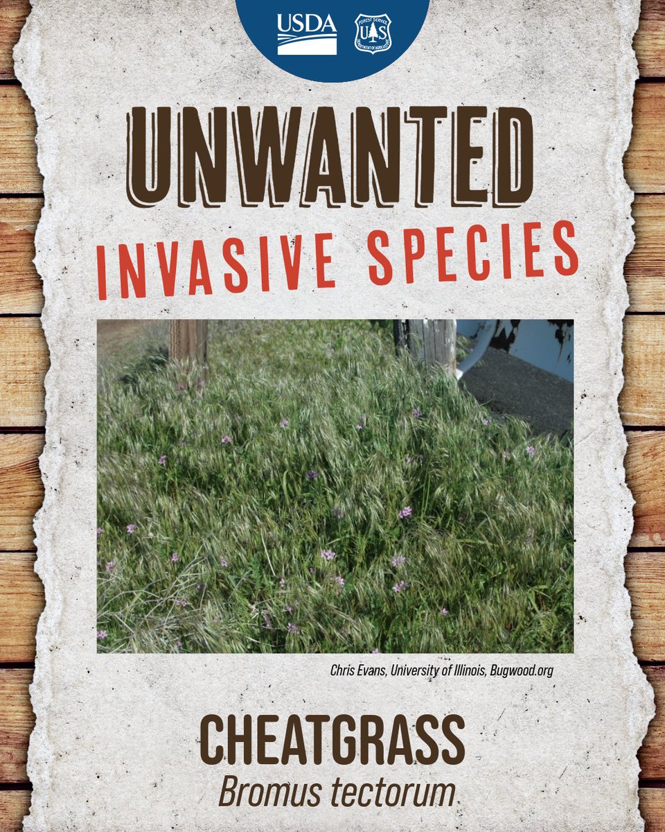 SuperiorNF tweet media