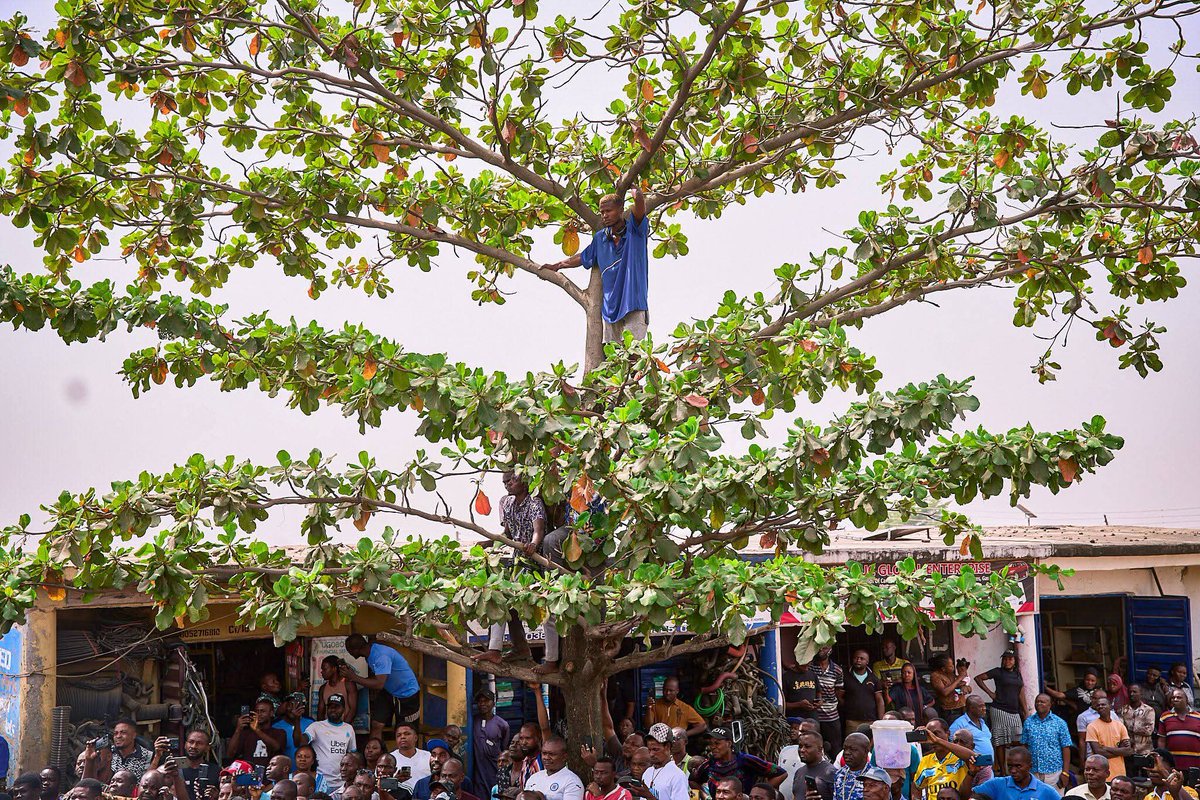 TENIBEGILOJU202's tweet image. PETER OBI REACTIVATED HIS POPULARITY IN ABUJA AS MAMMOTH CROWD WELCOMED HIM.. This is just one local govt o, when we told you that with or without advert, garri must sell pass spaghetti nko? Peter Obi will always shine in any party, na dem dey fear!!! Retweet massively till it…