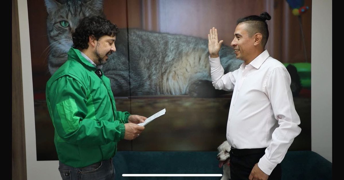 Peaky_Doggy tweet media