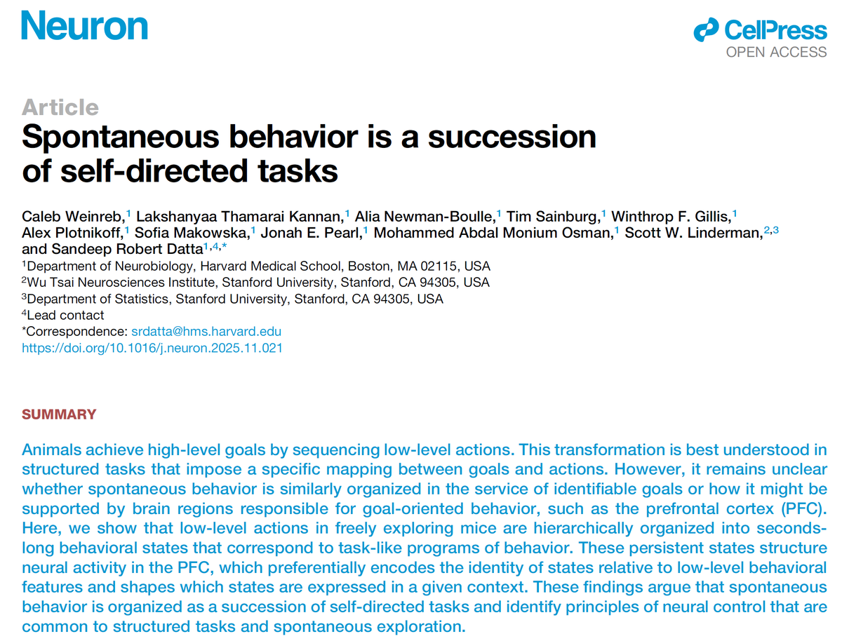 Luiz Pessoa tweet media