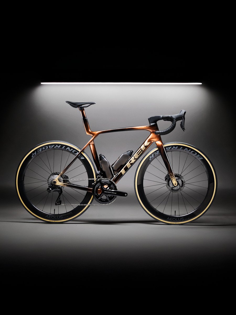 カピバラ (@CapybaraLIZED) / Posts / X