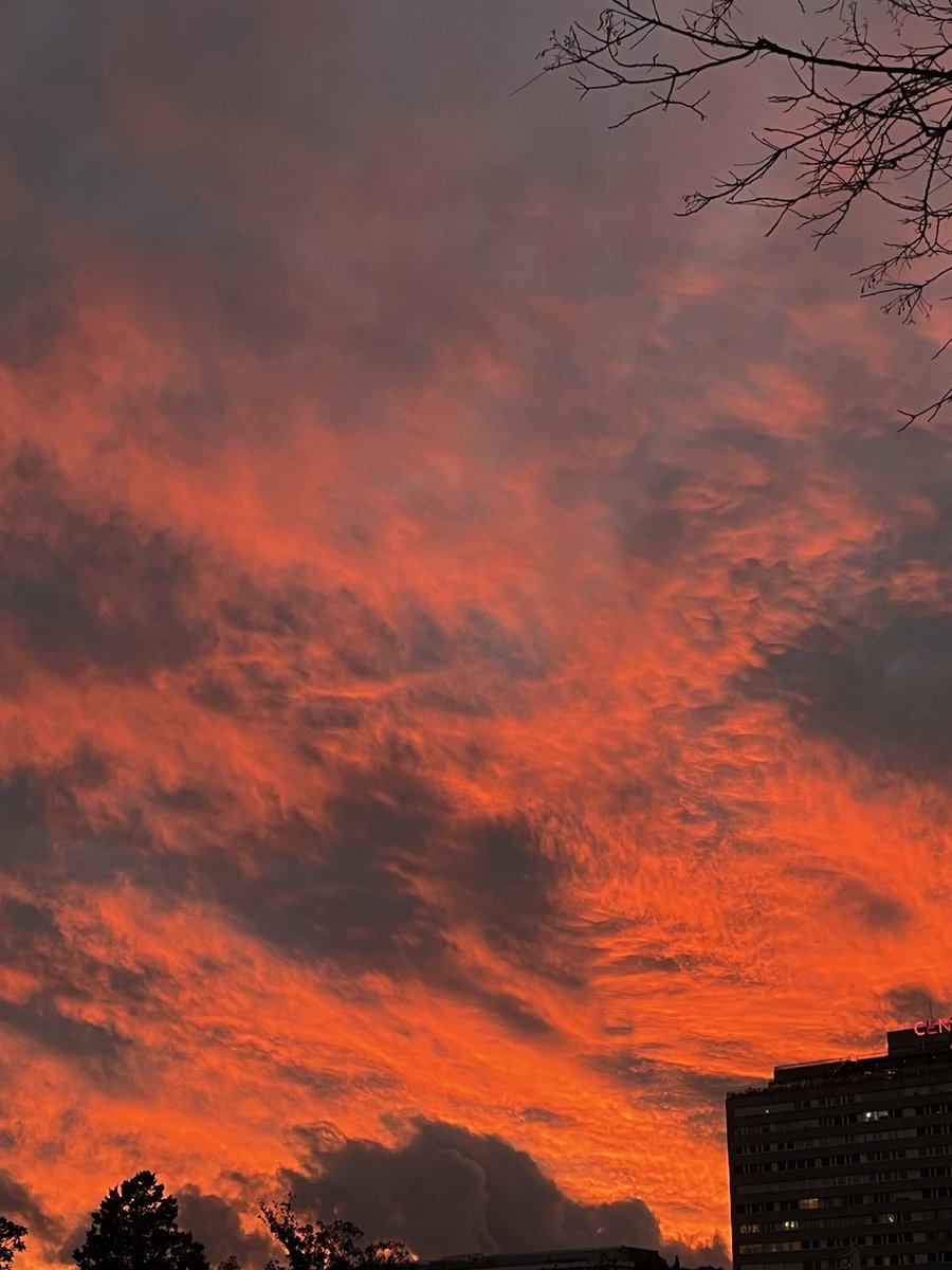 Jesús Cano Reyes tweet media