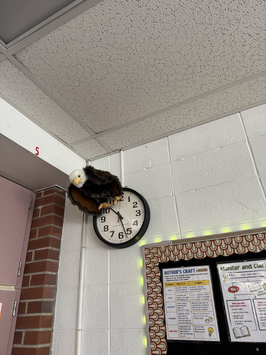 Becca Nordquist tweet media