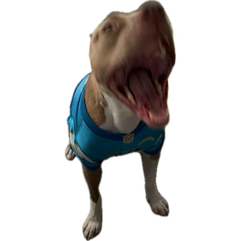 PickleBolt's tweet photo. Yeah the Chargers are winning the Super Bowl at home in 2027. ⚡️⚡️ https://t.co/fRFAE5nH17
