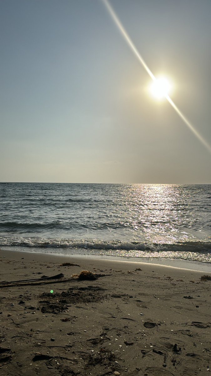 f7m_s's tweet photo. Sunbathing on the beach ☀️🌊 https://t.co/LwTqab5J26