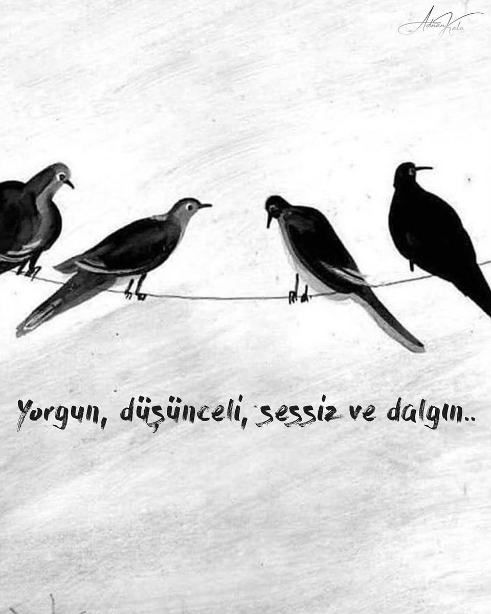 Mavera (@acz_mavera) on Twitter photo 