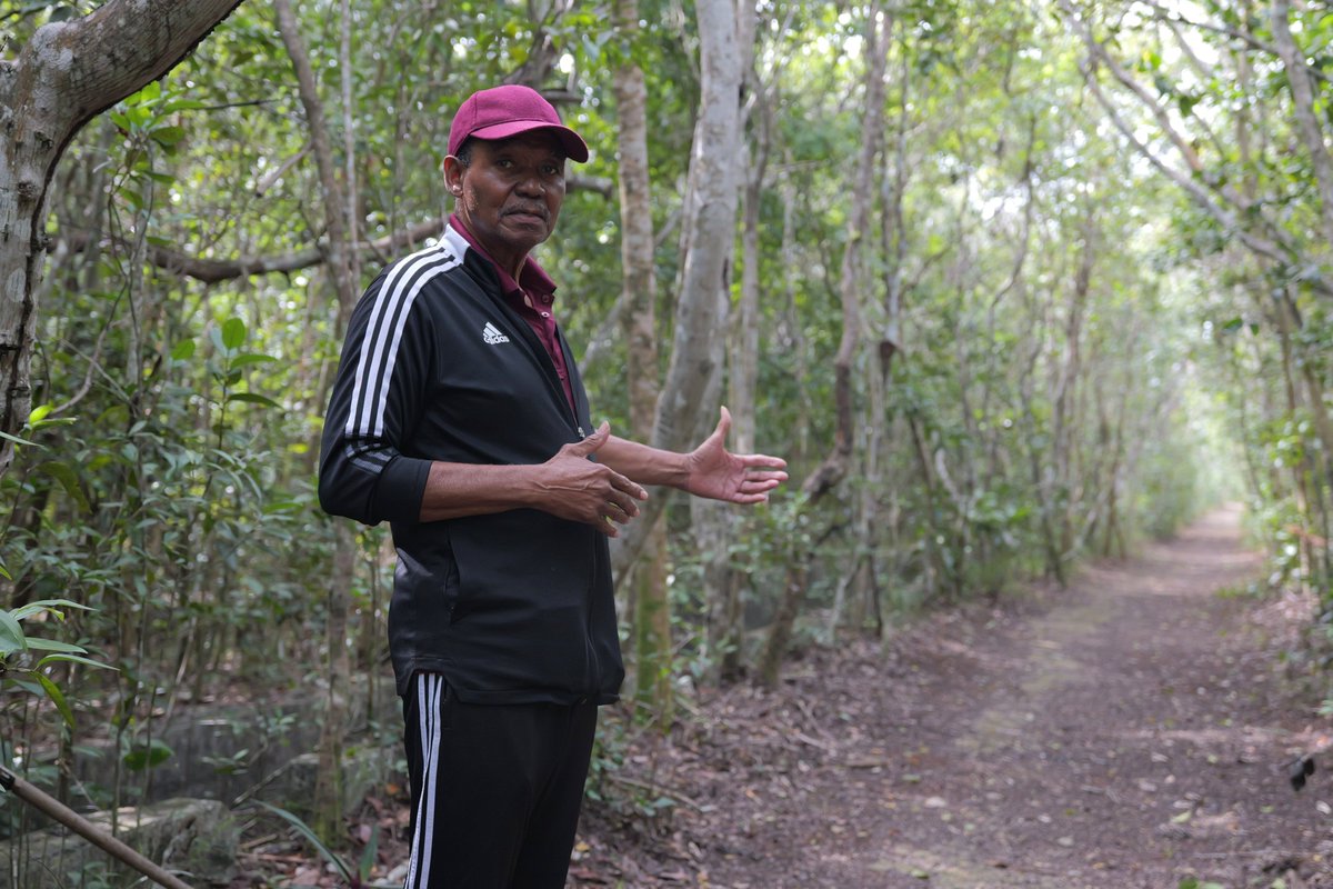 ADVOCATE WARNS FOREST CLEARING AT PERPALL TRACT WILL WORSEN FLOODING
AN activist is warning that destroying the Perpall Tract Wellfield Forest could leave surrounding communities more vulnerable to flooding and erase one of Nassau’s last major forests.
bit.ly/4qckdBV