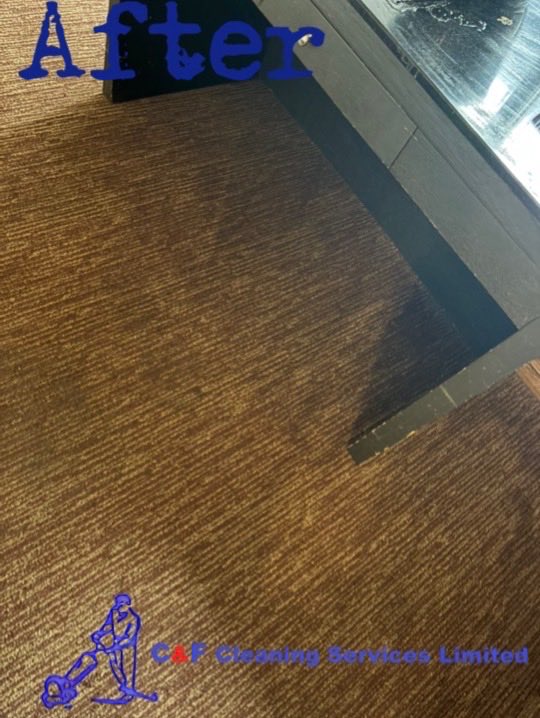 CandFCleaning's tweet photo. ✨ From dated to deluxe ✨
Swipe to see the transformation.
Same location. Brand-new experience. 🏨 PT.2 #candf #toronto #Scarborough #pickering #markham https://t.co/SR7t855Xgq