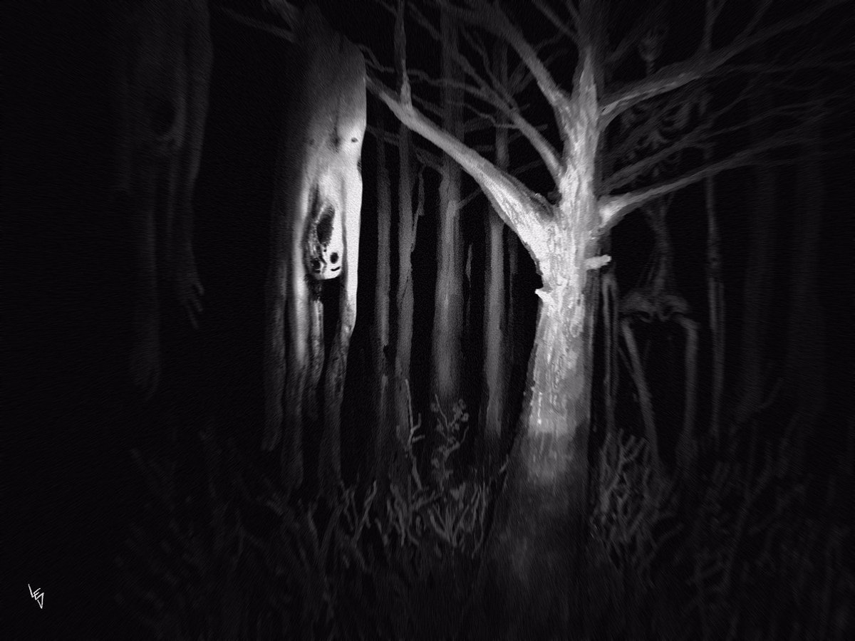 After several weeks in search of missing victims, human skin was found hanging from trees. The camera that the photo was taken from was found by travelers off the side of the road just outside of the Polaskin forest. The original owner of the camera was not found.