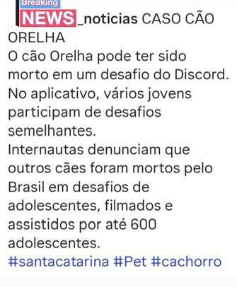 cascaofavs's tweet image. Perceberam o quanto a violência animal está aumentando ? Grupos de zoosadismo estão no discord dando acesso a milhares de jovens para verem e fazerem crueldades de todo tipo com animais. Protejam nossos animais. #justicapororelha