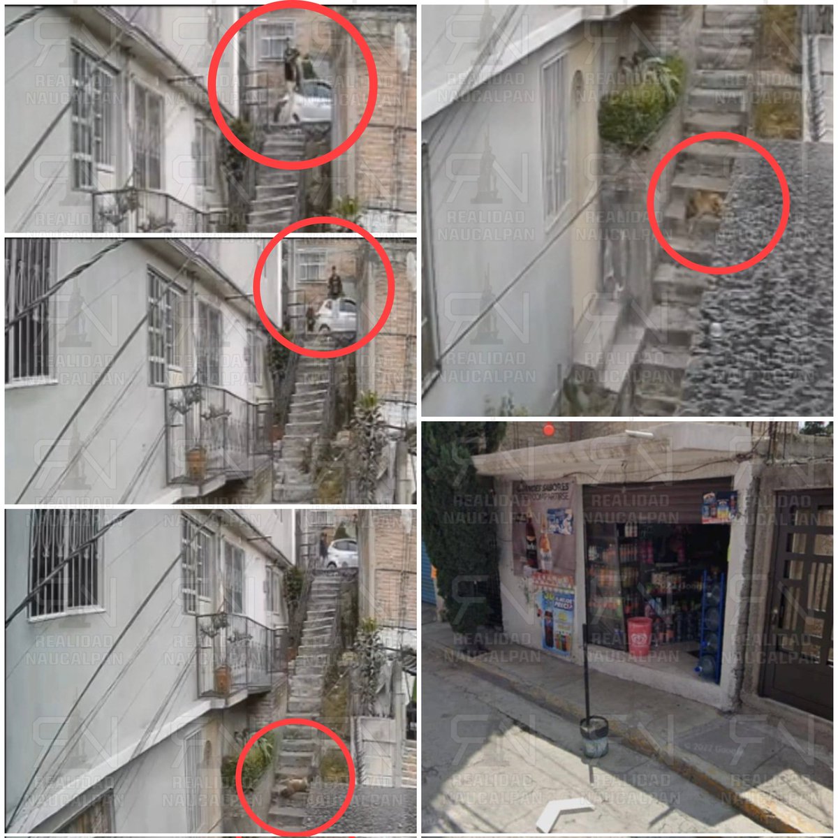 Realidad Naucalpan tweet media