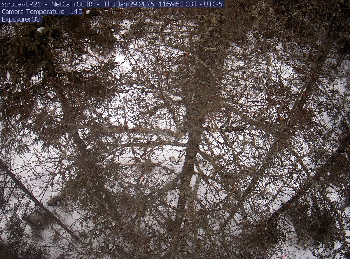 Unsecured CCTV Cameras tweet media