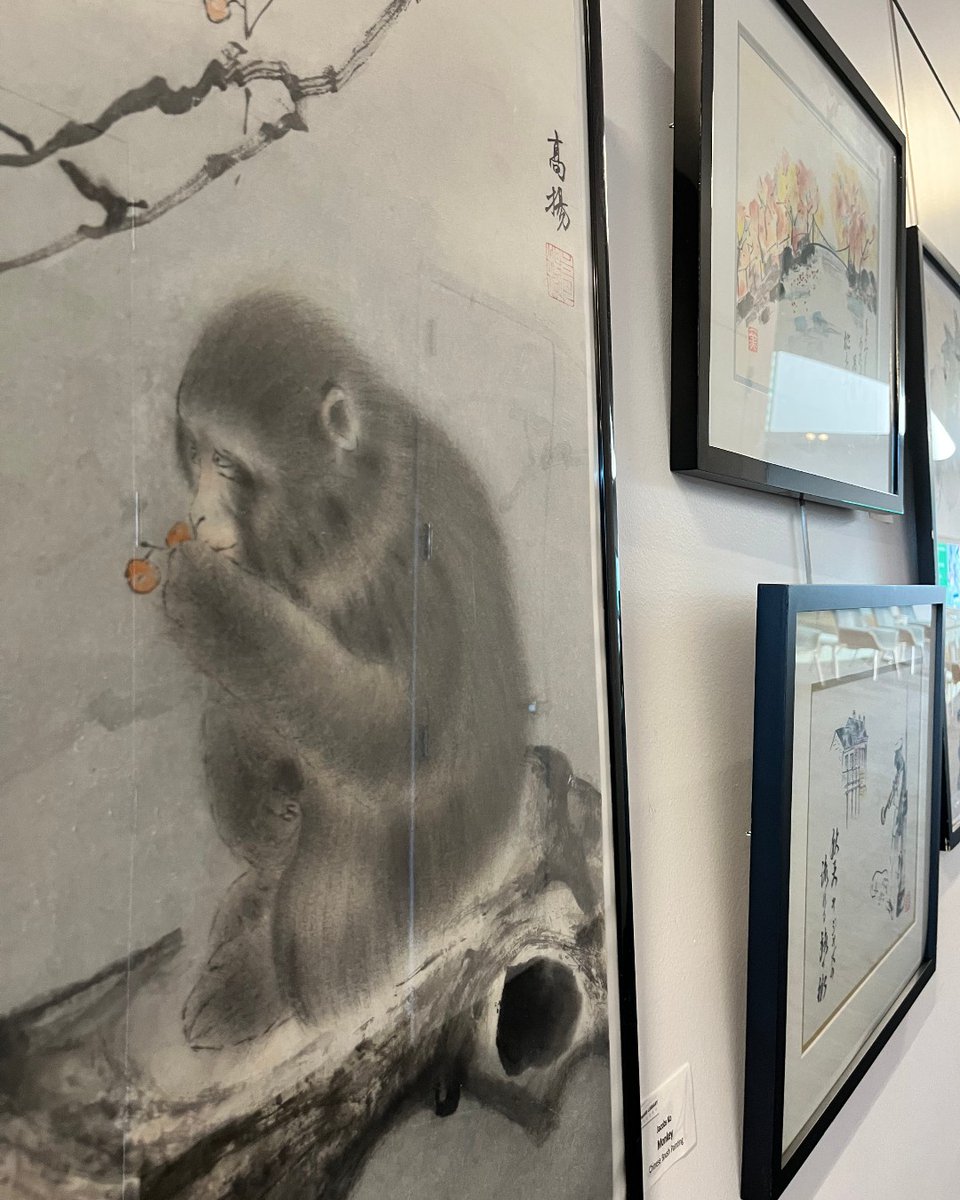 Hayward Library tweet media