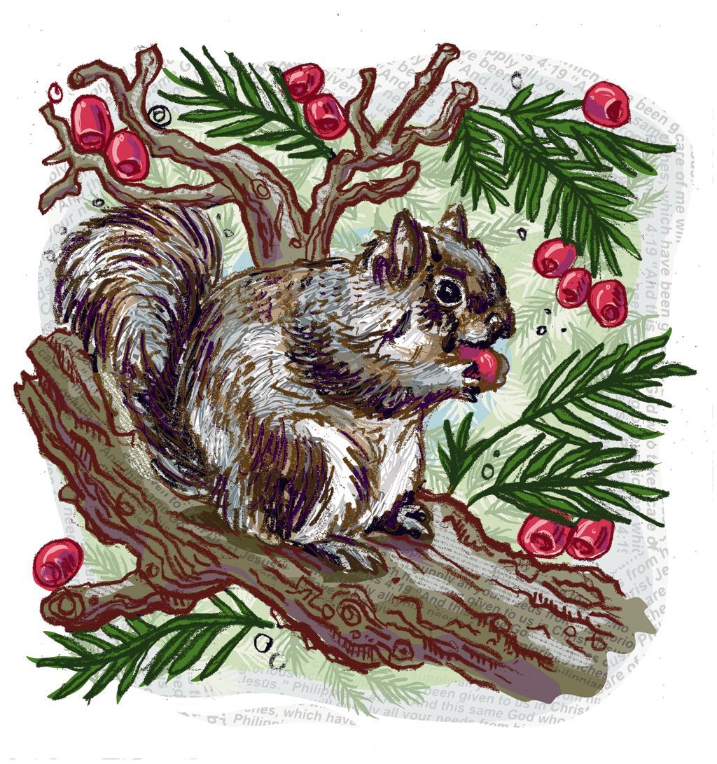 Faraday Churches tweet media