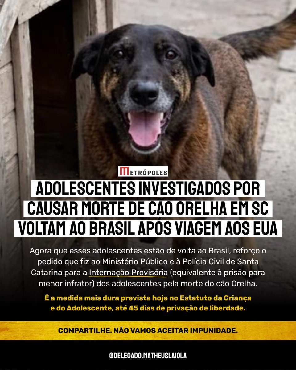 Delegado Matheus Laiola tweet media