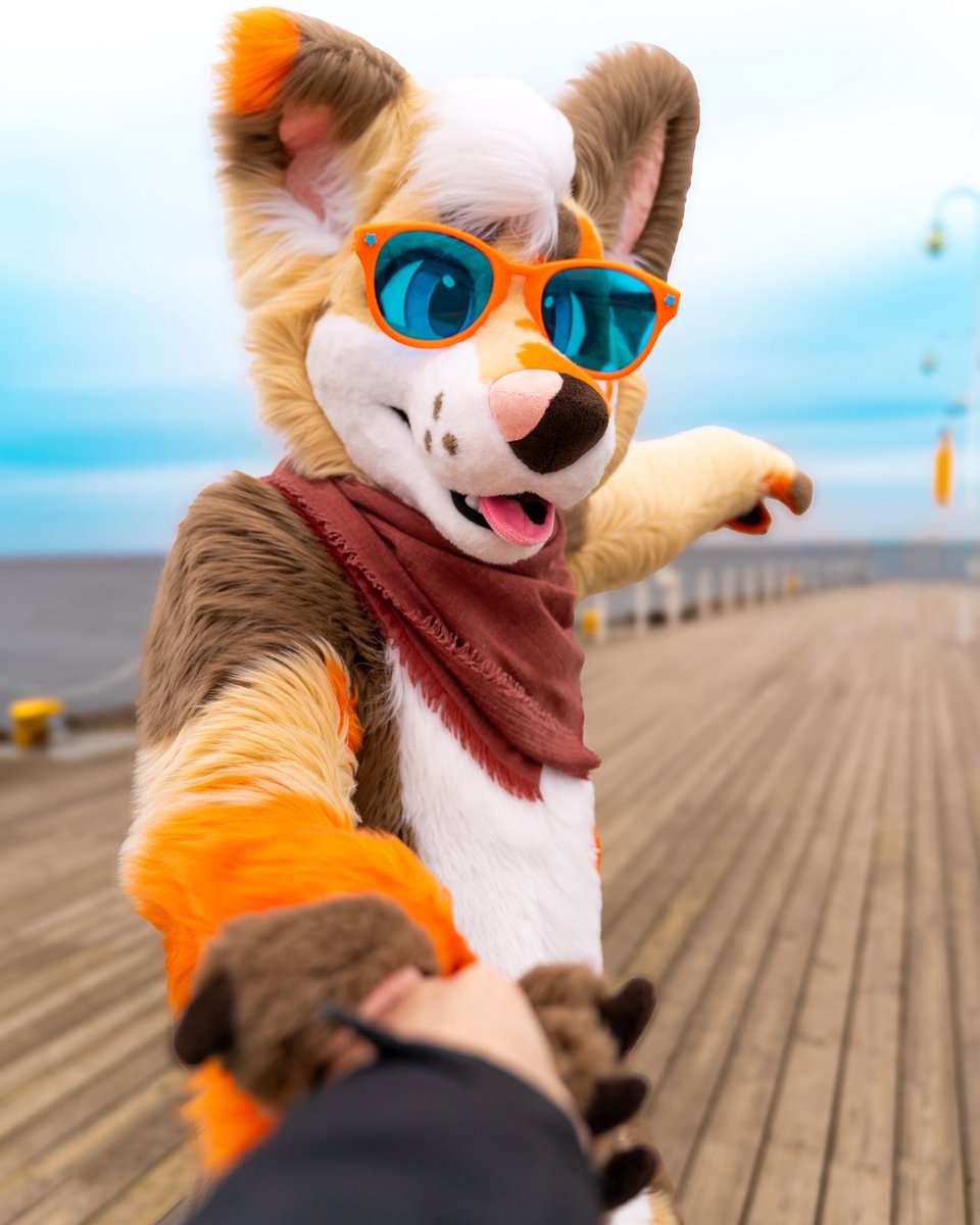 Baddy 🐾 tweet media