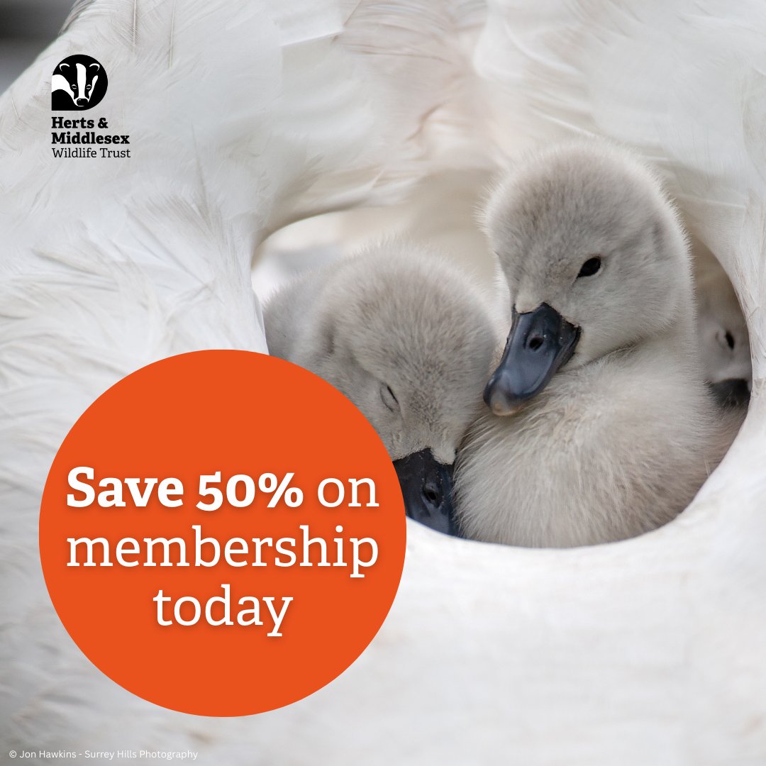 HMWTBadger's tweet photo. 🦉Explore local wild places and learn about wildlife near you with memberships from £1.75/month.

Join now: https://t.co/5rwsQlXxQ7

Offer ends 31 January.

#ProtectLocalWildlife #NatureNearYou #NatureLovers https://t.co/0gIwAdgMmH