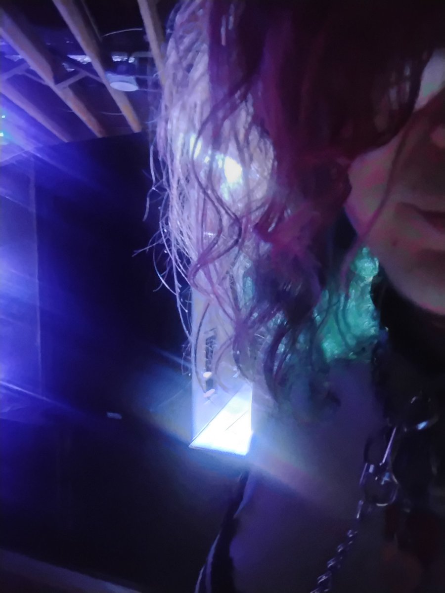 virtualbf___'s tweet image. Puppy danced by the speakers all night!!! Ravefurrest was awesome saucee